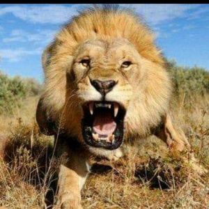 Meet your Posher, Ibrahim